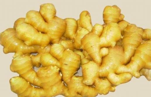 食物的種類繁多 細數(shù)常見食物的特殊功效