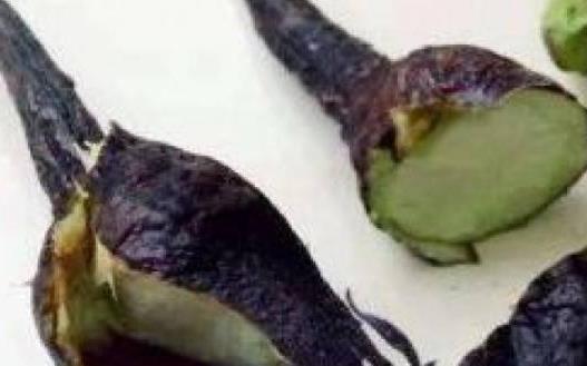 茄子不但營養(yǎng)好 其果實(shí)茄蒂和茄子根都可藥用