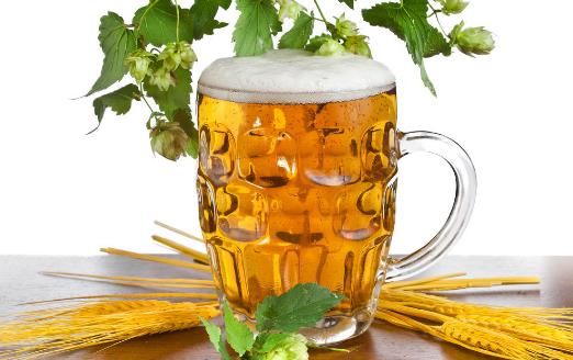 經(jīng)常飲用啤酒能保持人體骨骼強(qiáng)健 啤酒的種類(lèi)知多少 