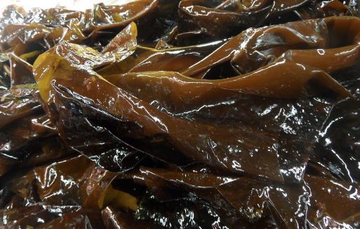 這些人群不宜食用海帶，一點(diǎn)都別沾最好