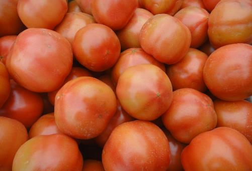 能抗氧化的西紅柿，應(yīng)該生吃？熟吃？空腹吃？減肥吃它有