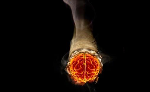 煙草是人類健康的最大威脅 兩種中醫(yī)戒煙好方法