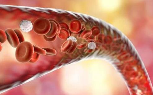 喝醋、喝紅酒、喝魚油能軟化血管？真正管用的其實是它 