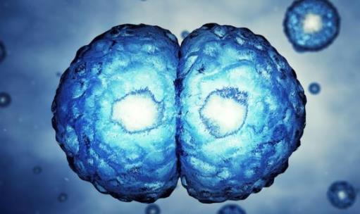 平時不痛不癢，一查癌癥就是晚期？醫(yī)生奉勸：7類人需定期