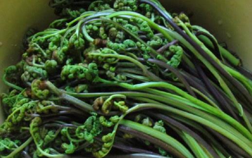 野菜的錯誤認(rèn)識 過量食用或許反而危害健康