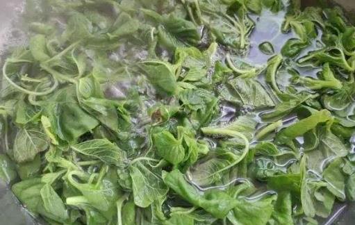 野菜的錯誤認(rèn)識 過量食用或許反而危害健康