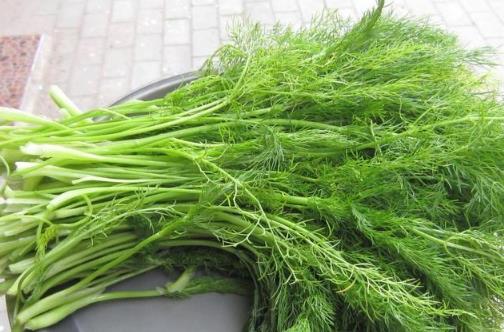 茴香價格便宜，營養(yǎng)并不少，可是營養(yǎng)師提醒，用茴香做餡