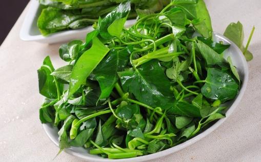 空心菜用油炒過后顏色發(fā)黑，這是“有毒物質(zhì)”嗎？營養(yǎng)師