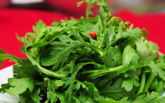 茼蒿素有皇帝菜的美譽(yù) 茼蒿的營(yíng)養(yǎng)價(jià)值 