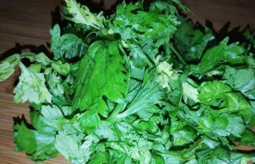芹菜的藥理和治療價值 芹菜葉的5種美味做法