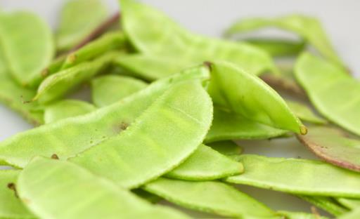 秋老虎來臨，5大時令食材抗秋燥！