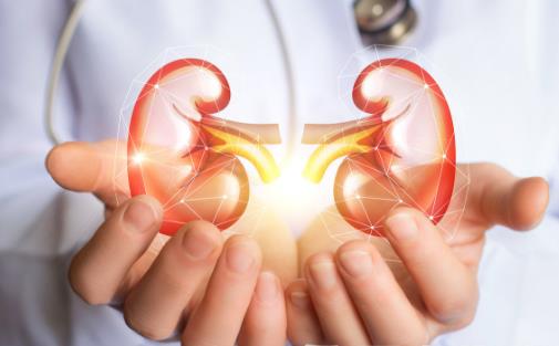 易引起男人腎虛的五大惡習(xí) 推薦四款補(bǔ)腎食療