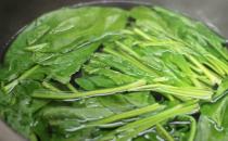 菠菜熬水的功效與作用 能補(bǔ)血也能滋養(yǎng)肌膚