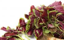 莧菜被人們譽(yù)為長壽菜 炒莧菜的四種做法