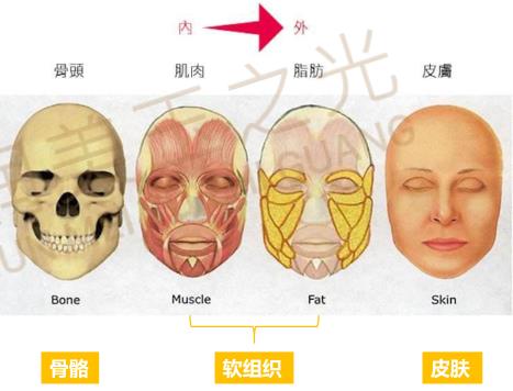 自體多肽脂肪實(shí)現(xiàn)新突破，塑造無(wú)法復(fù)制的自然美