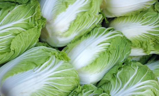 腸胃不好吃些什么好？分享七種常見(jiàn)食物