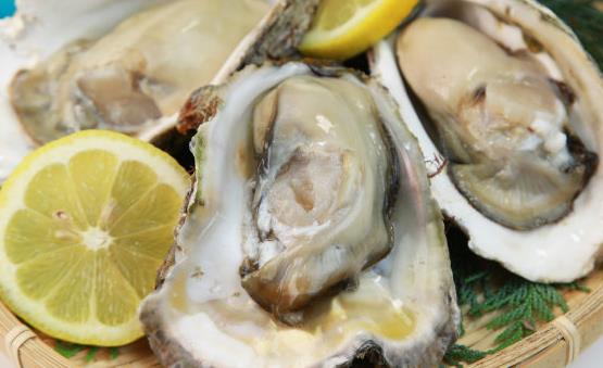 壯陽(yáng)藥物危害匯總 最給力的壯陽(yáng)食物排行榜