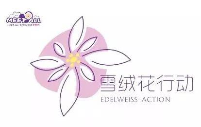 2020蜜特奧兒“雪絨花計劃”全面開啟，隆重來襲！