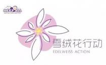 2020蜜特奧兒“雪絨花計劃”全面開啟，隆重來襲！