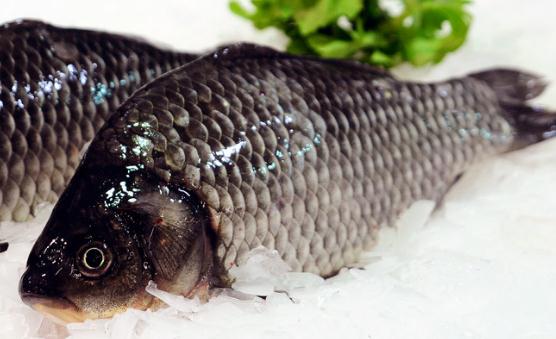 喝鯽魚湯可以調節(jié)腸胃 烹制奶白鯽魚湯的秘訣及禁忌