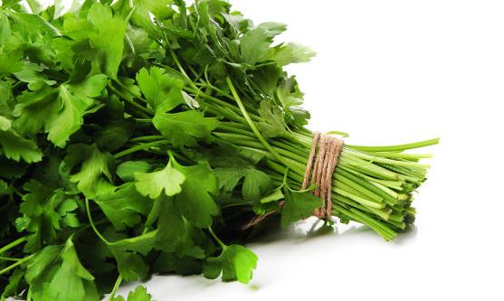 吃香菜增強(qiáng)食欲消食健胃 吃香菜注意事項(xiàng)