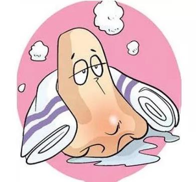 擺脫過敏性鼻炎帶來的不體面，NC鼻炎益生菌get起來！