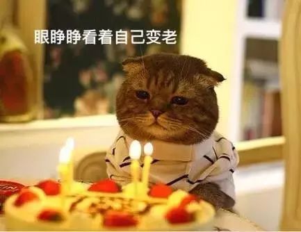 不同類型的肉冷凍保存時間不同，吃僵尸肉有危害嗎，如何辨別