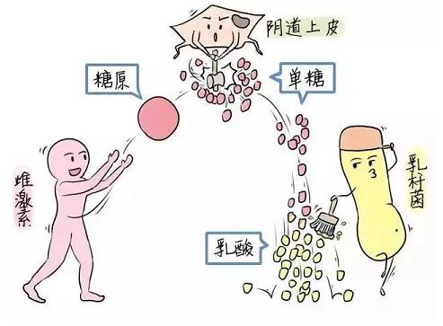 芙美安婦科凝膠丨婦科炎癥反復(fù)發(fā)作？自從用了它，告別私密困擾！