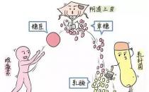 芙美安婦科凝膠丨婦科炎癥反復(fù)發(fā)作？自從用了它，告別私密困擾！