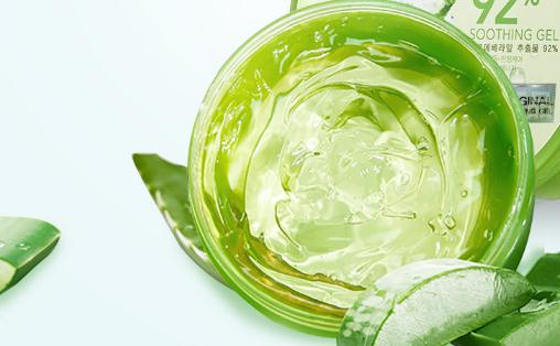 用蘆薈膠長(zhǎng)痘痘怎么回事 鮮蘆薈怎么用來美容