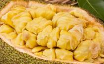 菠蘿蜜切開(kāi)兩半了沒(méi)熟怎么辦 菠蘿蜜沒(méi)熟吃了會(huì)中毒嗎