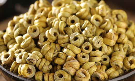 經(jīng)常上火的人是陰虛還是陽虛 陽虛體質(zhì)可以吃鐵皮石斛嗎